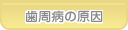 あおば歯科 歯周病の原因